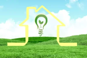 composite of house graphic with lightbulb on green field background